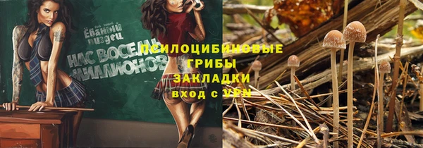 марки nbome Аркадак