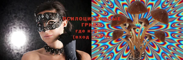 прущие грибы Ельня
