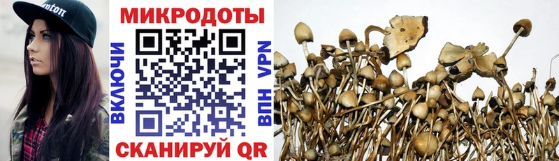 купить   Верхнеуральск  Галлюциногенные грибы мицелий 